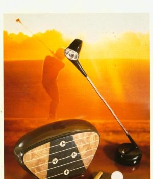 Alice Angevin, Les Sacs à M'Alice 1999 Darnault Biarritz