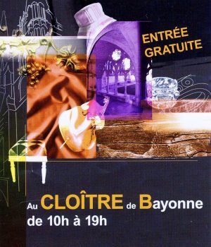 Alice Angevin, Les Sacs à M'Alice 2008 Bayonne