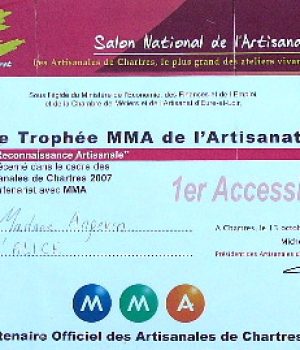 Alice Angevin, Les Sacs à M'Alice 2008 Prix Chartres