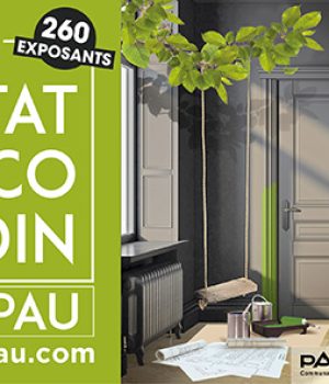 Alice Angevin, Les Sacs à M'Alice 2019 03 Pau